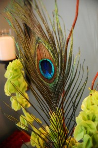 My Peacock Feather Birthday Decorations | BobbleHeadBaby